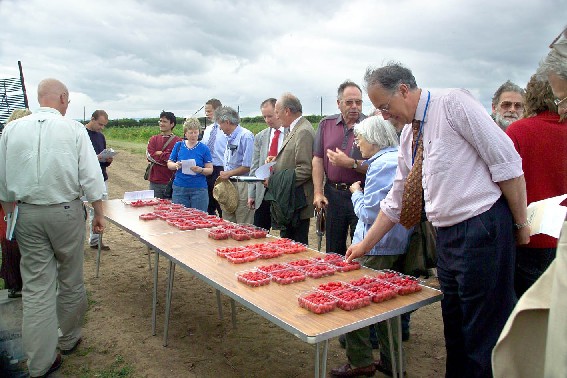 SSCR Fruitwalk