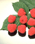 New varieties - Raspberries